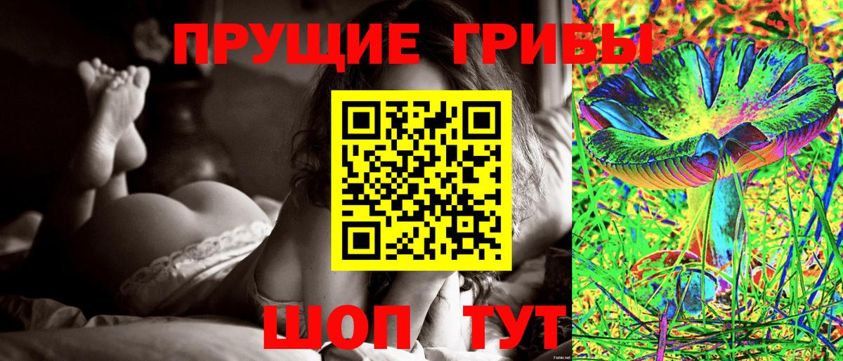 Галлюциногенные грибы Psilocybe  Вход с VPN  Когалым 